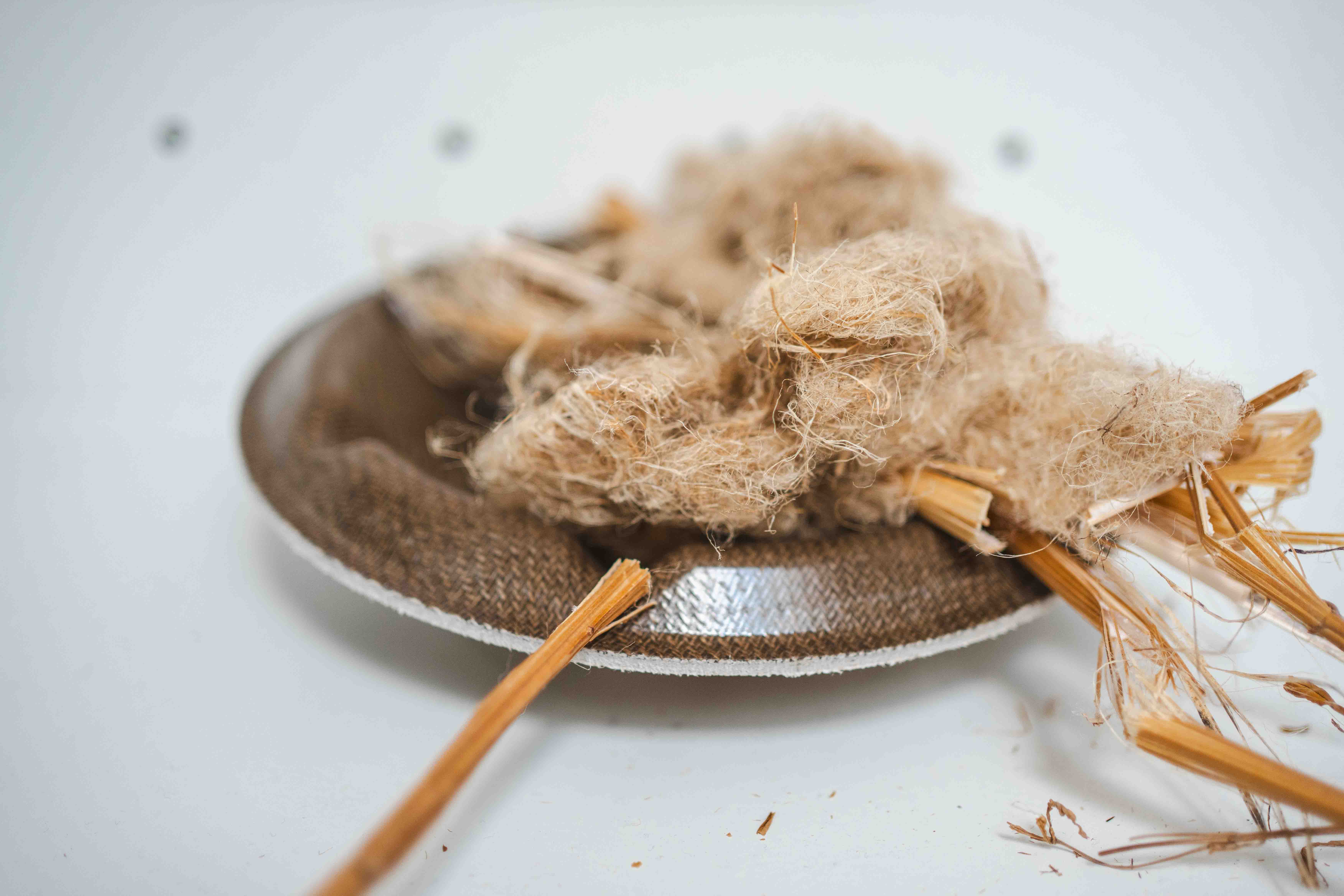 flax as biomaterial at G-Desmet
